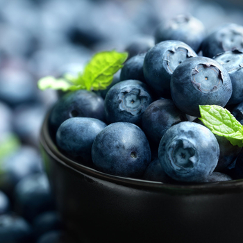 Eine Schale mit frischen Heidelbeeren und Minzblättern.