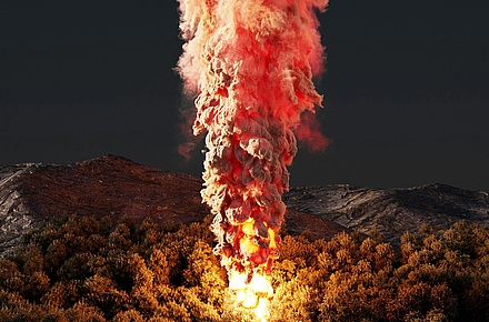 Hohe Flammen und eine dichte Rauchwolke steigen aus einem Waldbrand auf.