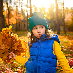 Ein Junge in einer blauen Weste sammelt Herbstlaub im Wald.