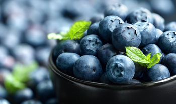 Eine Schale mit frischen Heidelbeeren und Minzblättern.