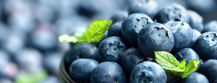 Nahaufnahme Schüssel mit gesunden Blaubeeren