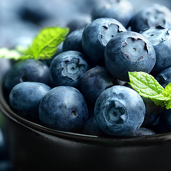 Eine Schale mit frischen Heidelbeeren und Minzblättern.