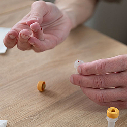 Eine Person führt einen medizinischen Selbsttest durch. Dazu hat hat sie sich in den Finger gestochen und sammelt das Blut in einem Probenröhrchen.