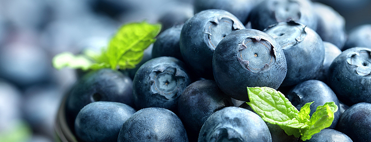 Nahaufnahme Schüssel mit gesunden Blaubeeren