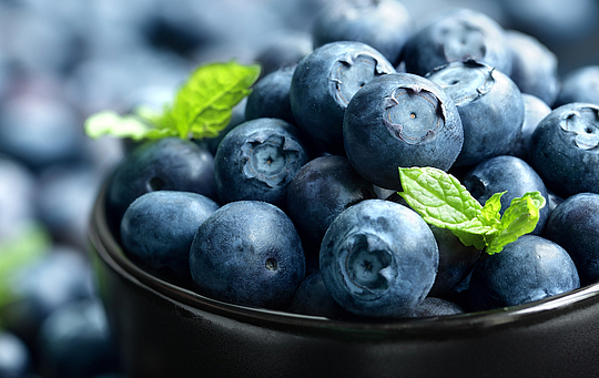 Eine Schale mit frischen Heidelbeeren und Minzblättern.