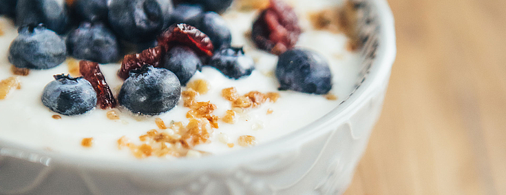 Eine weiße Schale mit Joghurt, mit Blaubeeren, getrocknete Cranberries und Nüsse als Topping.