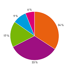 Tortendiagramm, das die Auswertung der Befragung zu Selbsttests zeigt.